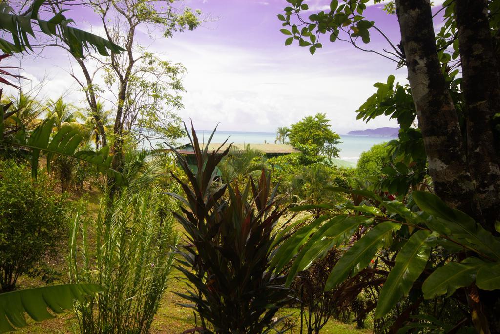 Hotel Rancho Corcovado Drakes Bay Esterno foto